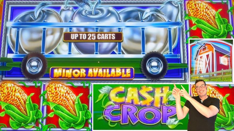 Explore bigclash casino login