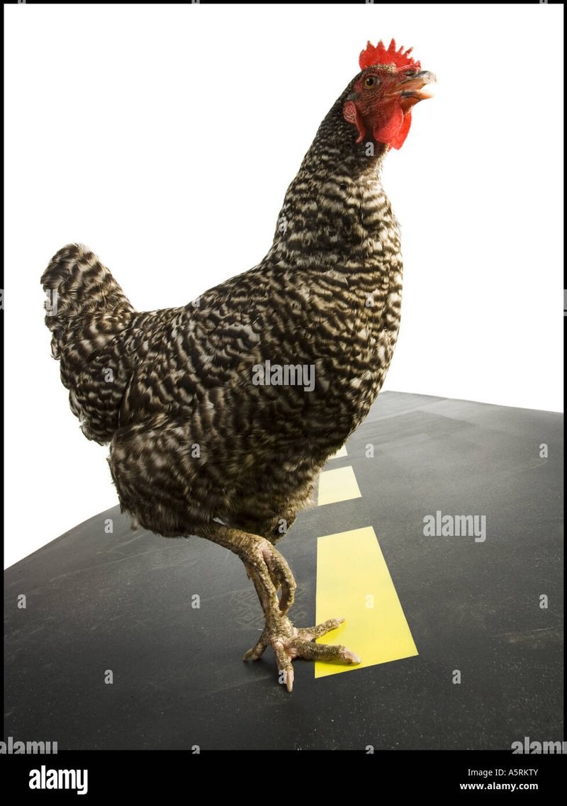 Chicken road 2 demo, chicken road 2 juego