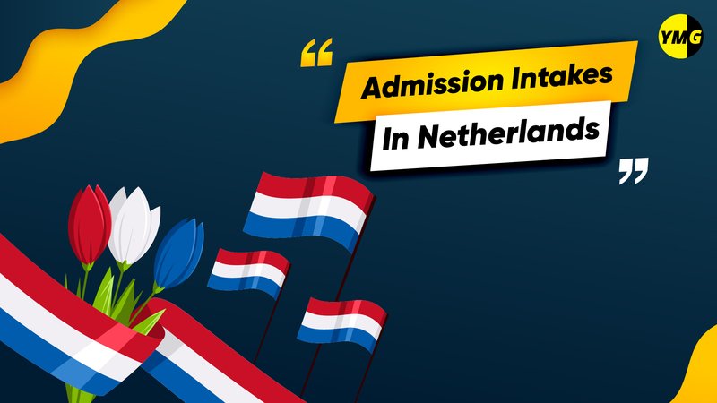 Trueluck Casino: Een Onderdeel van het Nederlandse Casino - overview